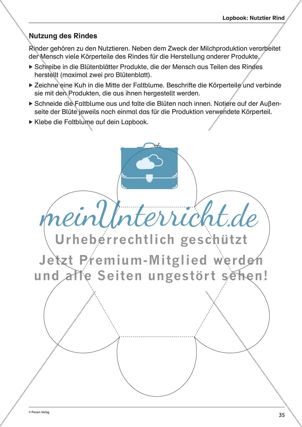 Lapbook: Nutztier Rind Preview 3