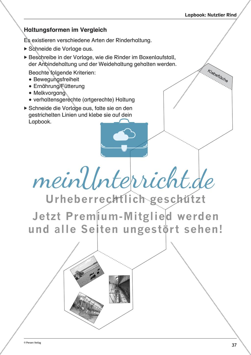 Lapbook: Nutztier Rind Preview 5