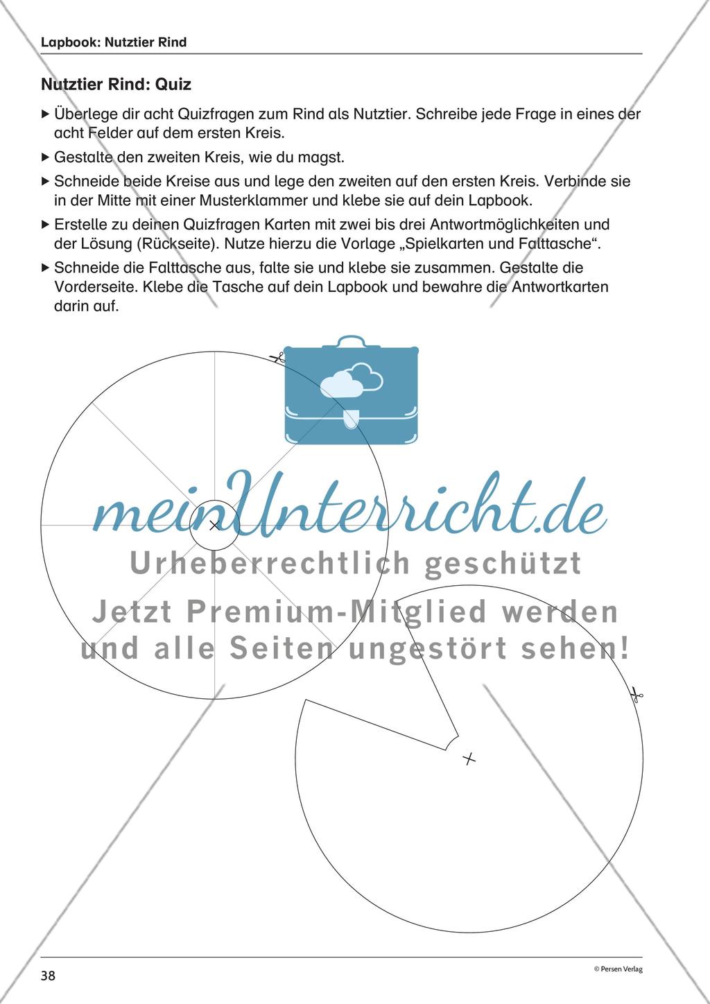 Lapbook: Nutztier Rind Preview 6