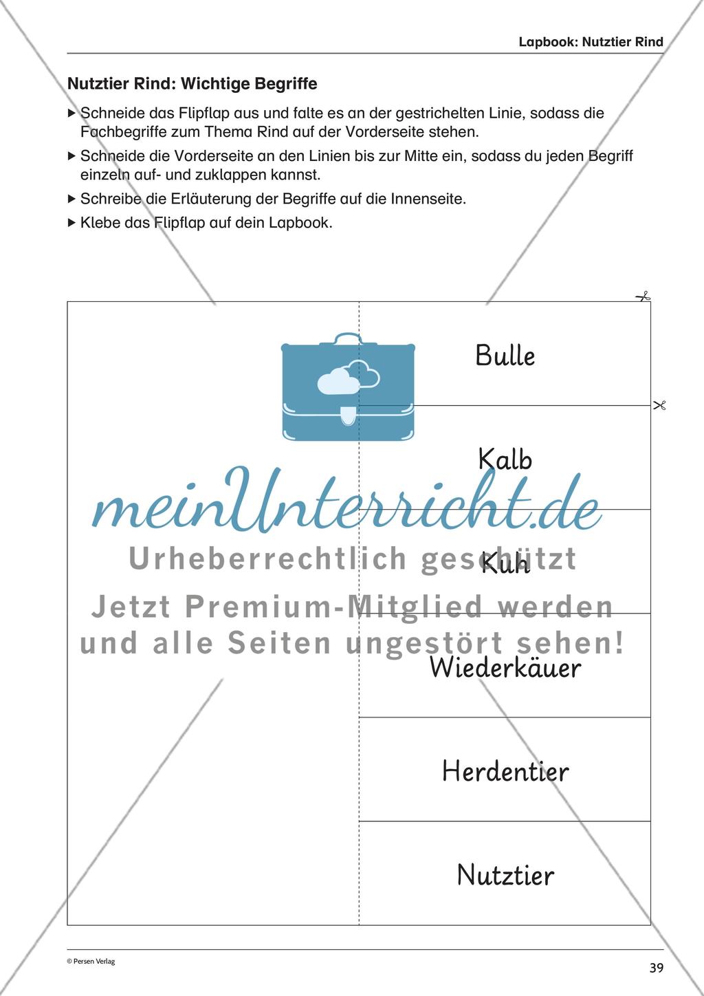 Lapbook: Nutztier Rind Preview 7
