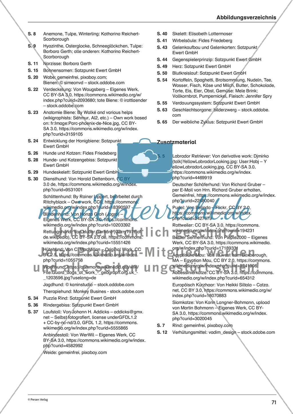Lapbook: Nutztier Rind Preview 8
