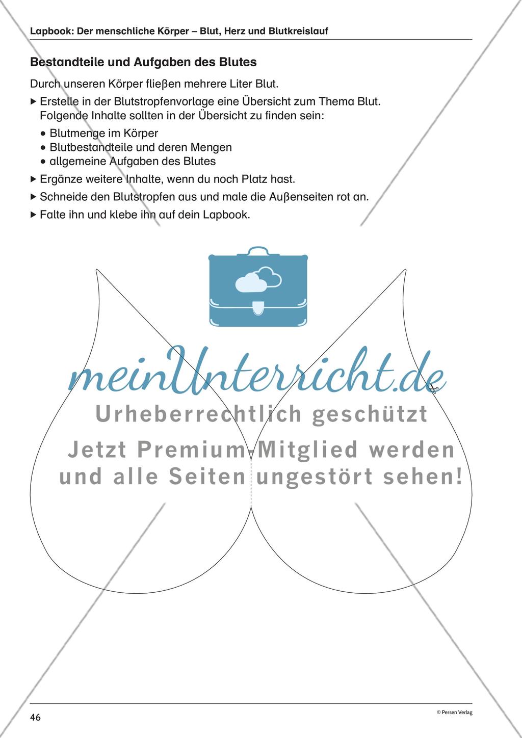 Lapbook: Der menschliche Körper – Blut, Herz und Blutkreislauf Preview 1