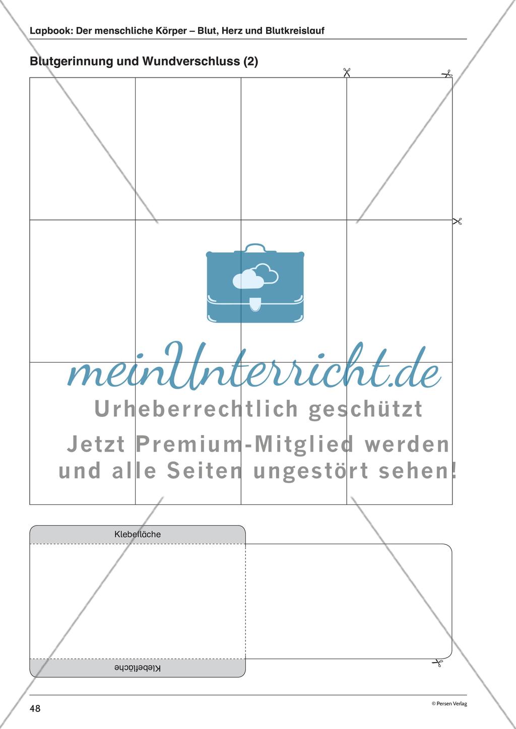 Lapbook: Der menschliche Körper – Blut, Herz und Blutkreislauf Preview 3