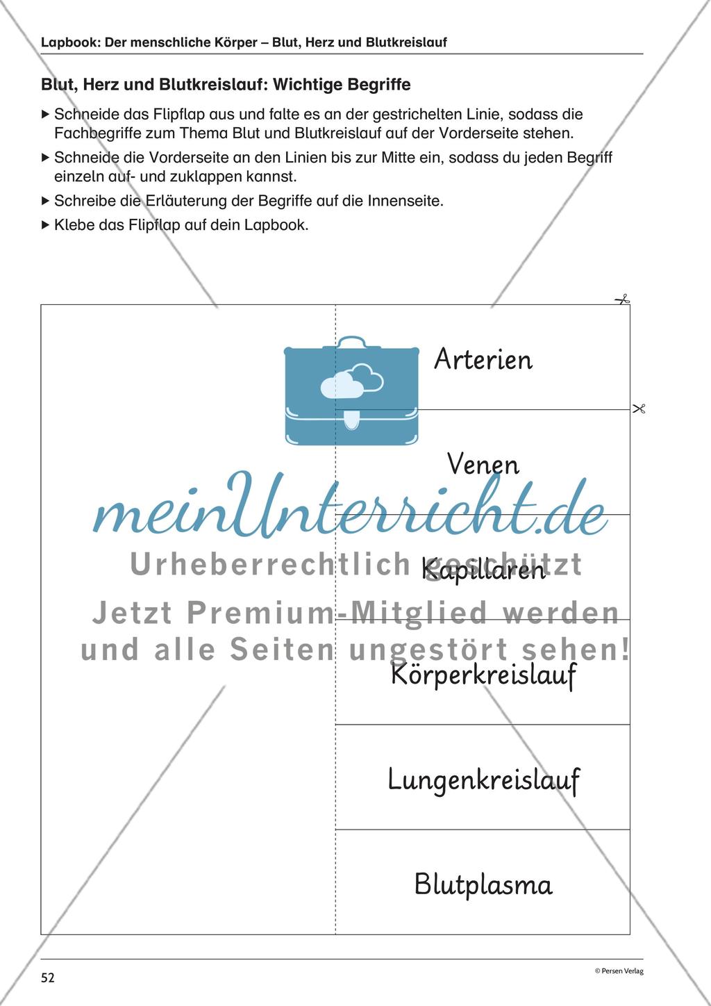 Lapbook: Der menschliche Körper – Blut, Herz und Blutkreislauf Preview 7