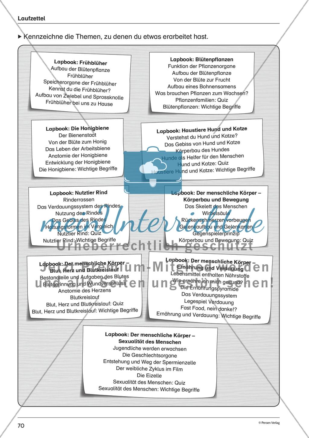 Informationen Preview 1