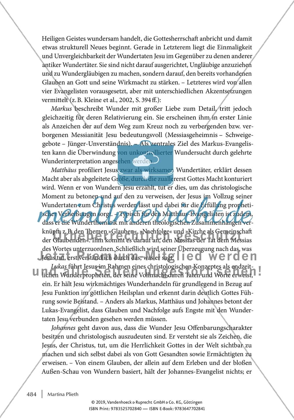 Wunder Preview 6