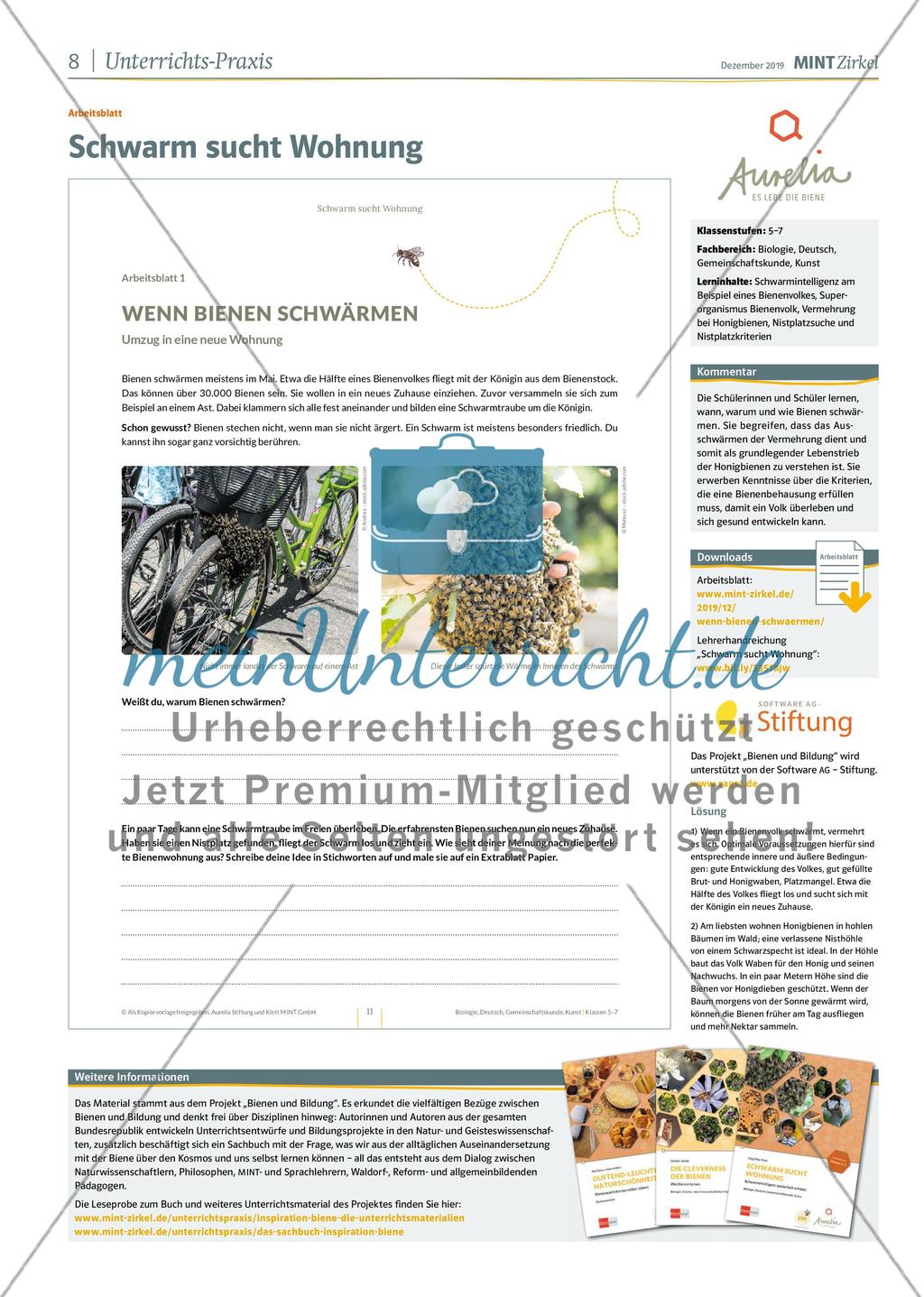 MINT Zirkel - Ausgabe 4, Dezember 2019 Preview 8