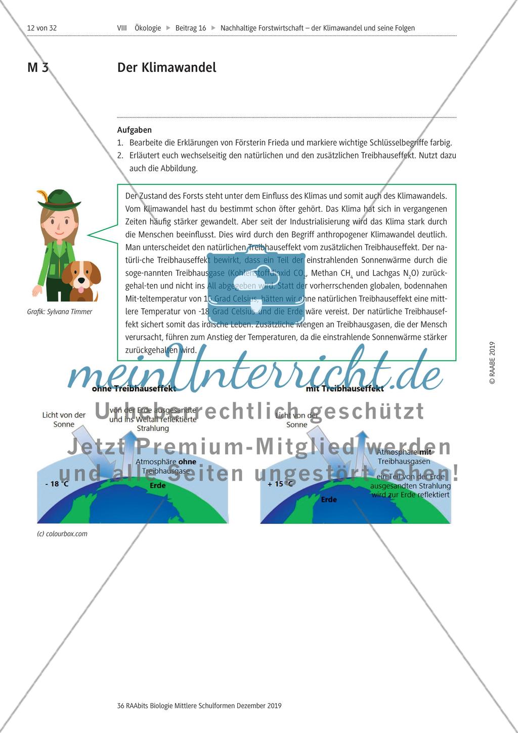Klimawandel und der Einfluss auf Forst und Forstwirtschaft Preview 1