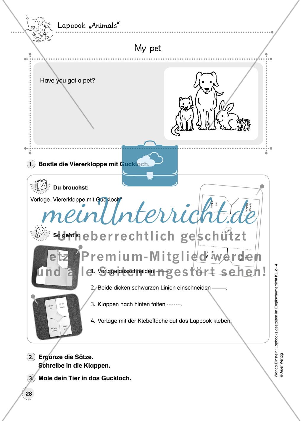 Lapbook „Animals“ Preview 1