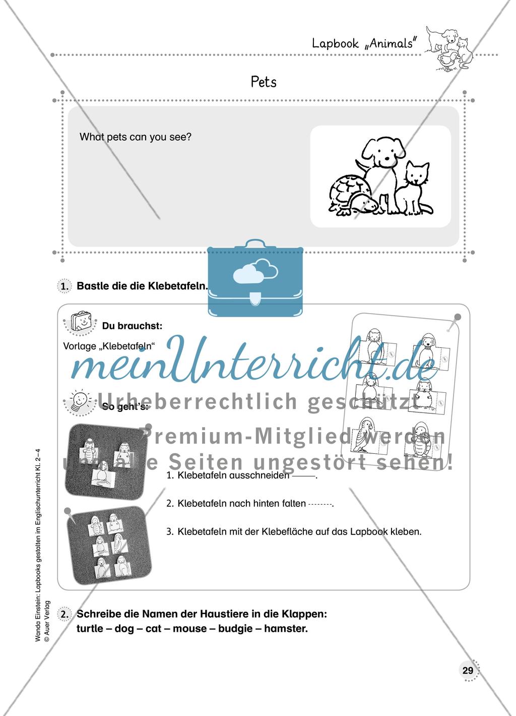 Lapbook „Animals“ Preview 2