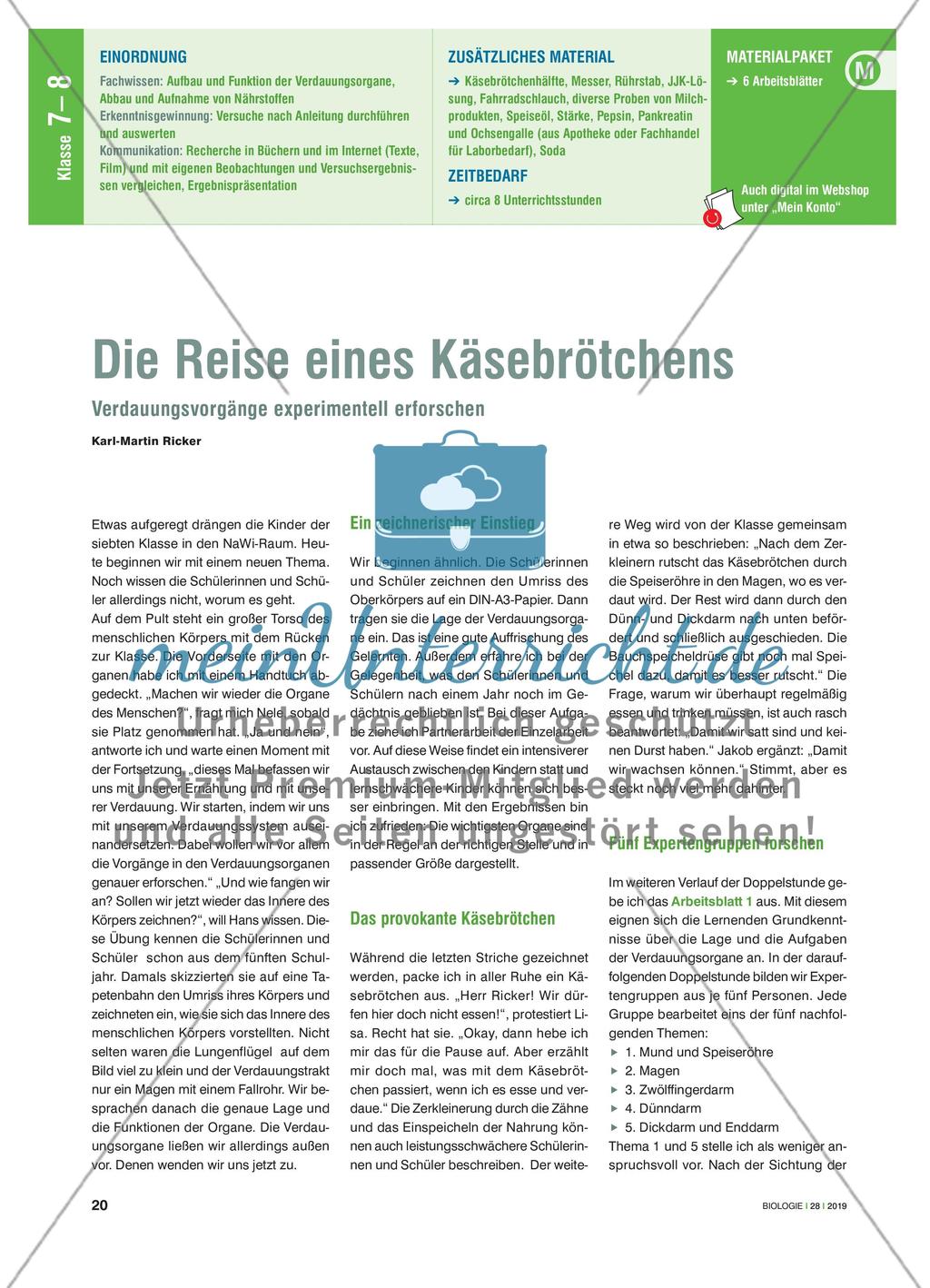 Die Reise eines Käsebrötchens - Verdauungsvorgänge experimentell erforschen Preview 1