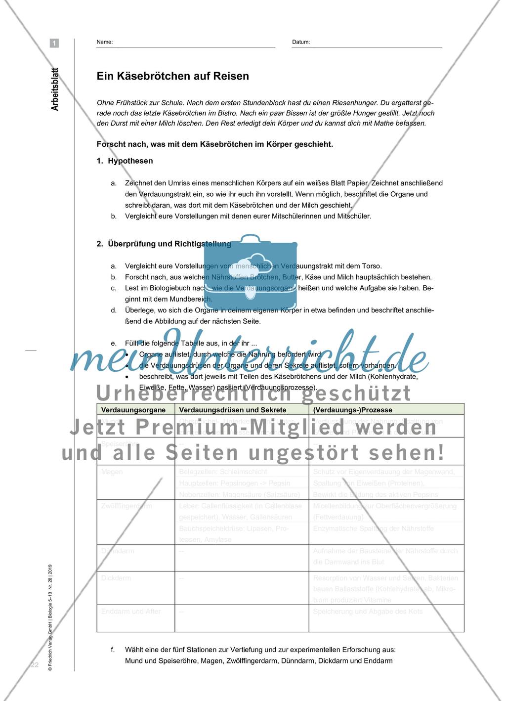 Die Reise eines Käsebrötchens - Verdauungsvorgänge experimentell erforschen Preview 3