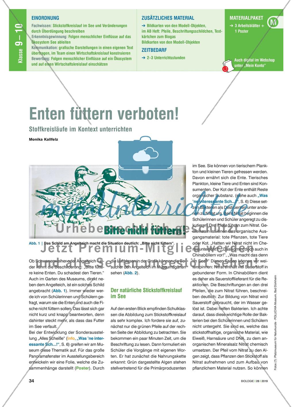Enten füttern verboten! - Stoffkreisläufe im Kontext unterrichten Preview 1