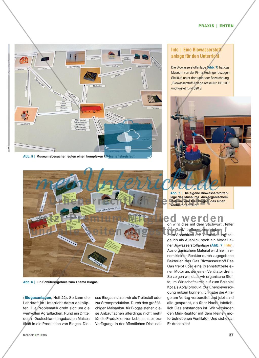 Enten füttern verboten! - Stoffkreisläufe im Kontext unterrichten Preview 4