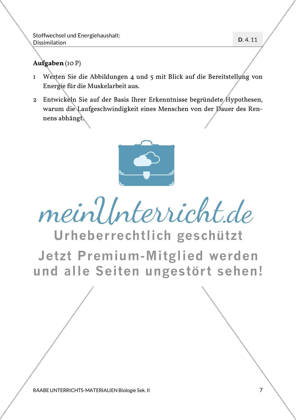 Enzyme – Werkzeuge im Energiestoffwechsel Preview 11