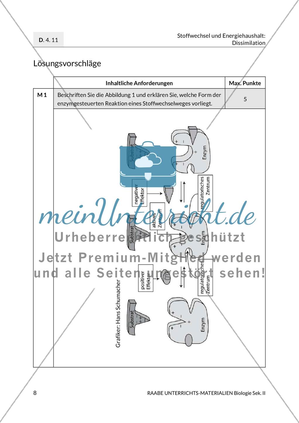 Enzyme – Werkzeuge im Energiestoffwechsel Preview 12
