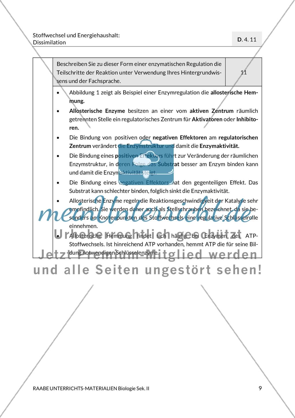 Enzyme – Werkzeuge im Energiestoffwechsel Preview 13