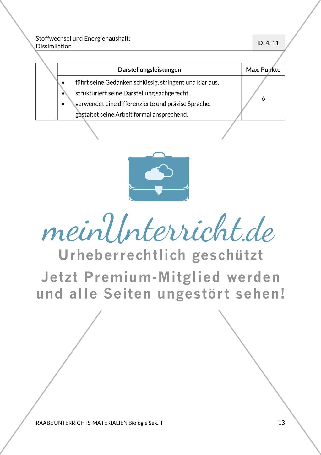 Enzyme – Werkzeuge im Energiestoffwechsel Preview 17