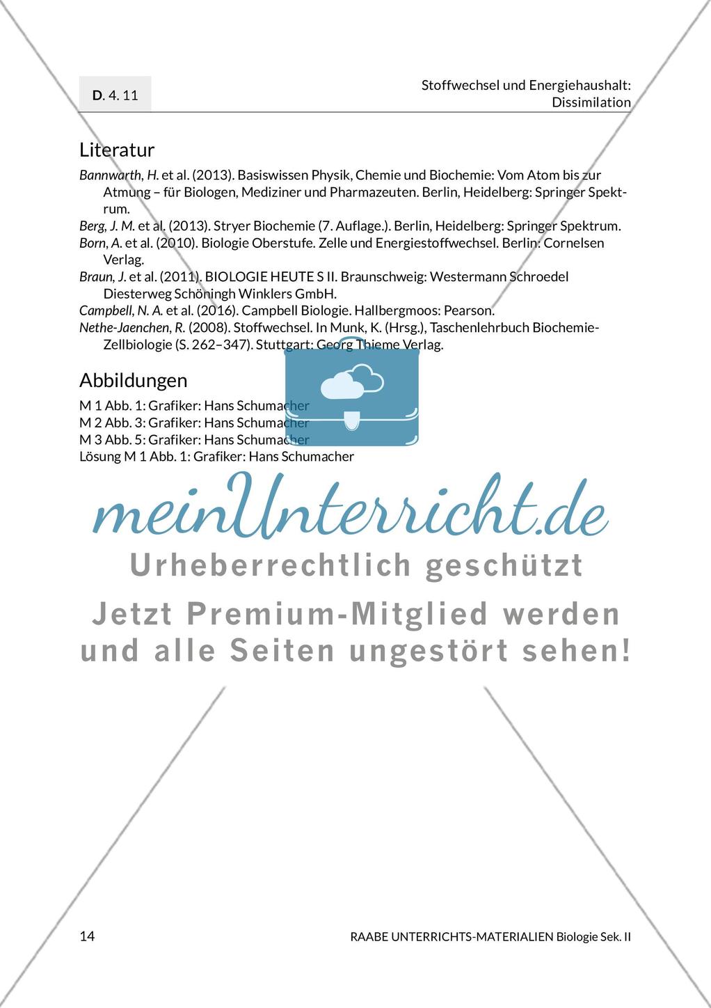 Enzyme – Werkzeuge im Energiestoffwechsel Preview 18