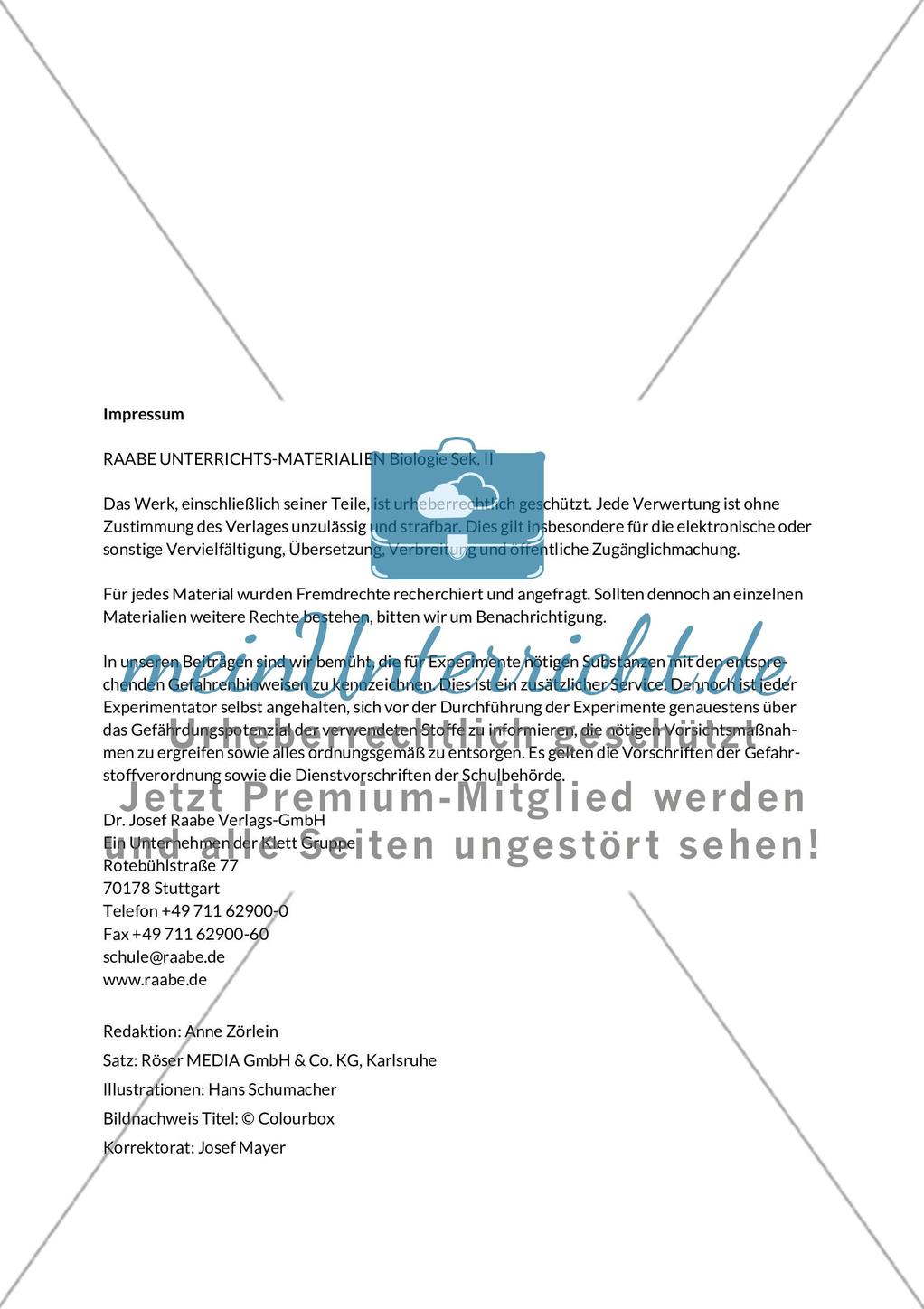 Enzyme – Werkzeuge im Energiestoffwechsel Preview 2