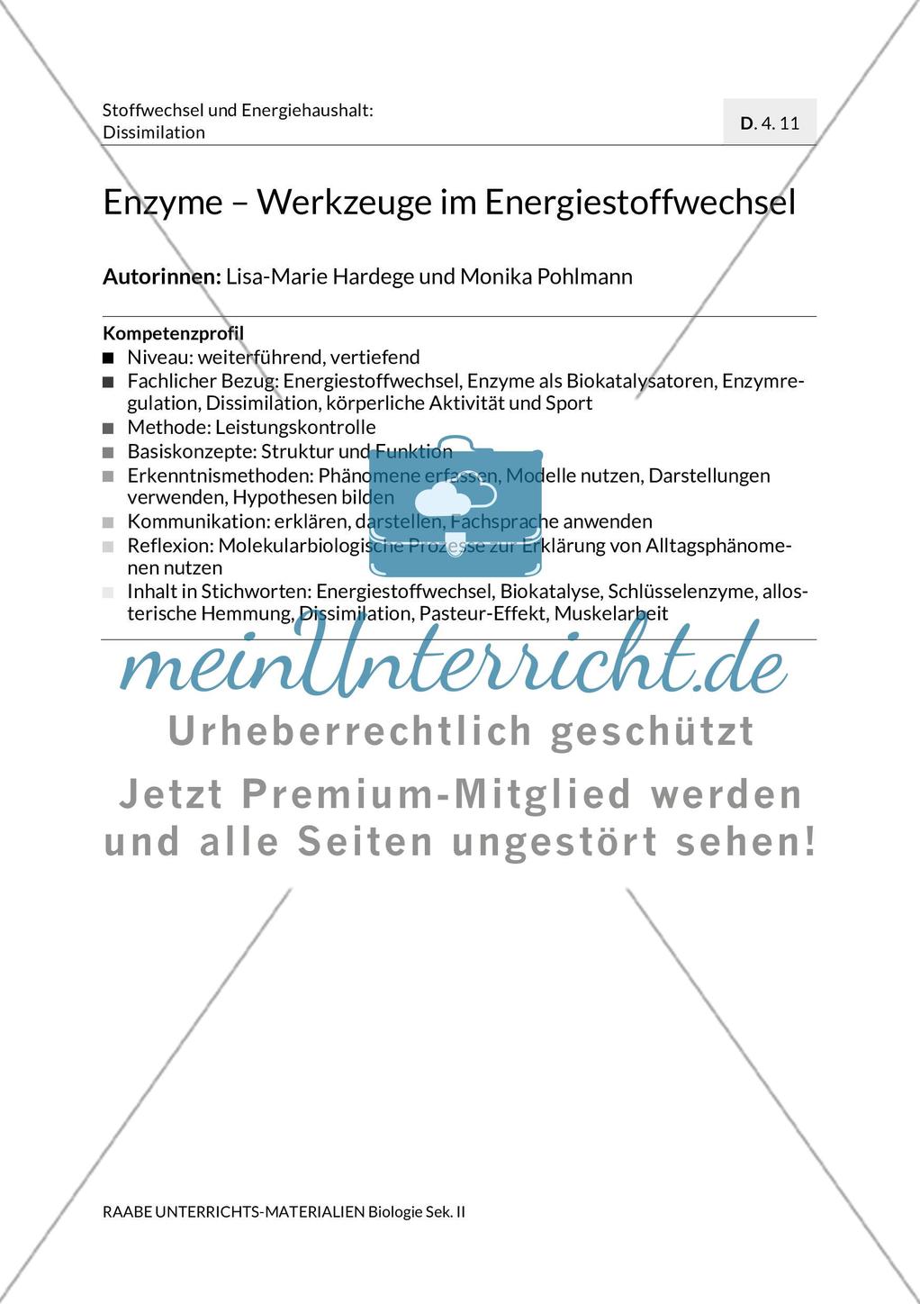 Enzyme – Werkzeuge im Energiestoffwechsel Preview 3
