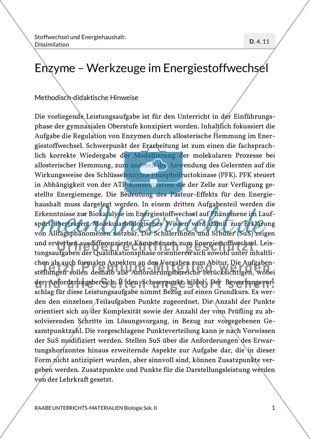 Enzyme – Werkzeuge im Energiestoffwechsel Preview 5