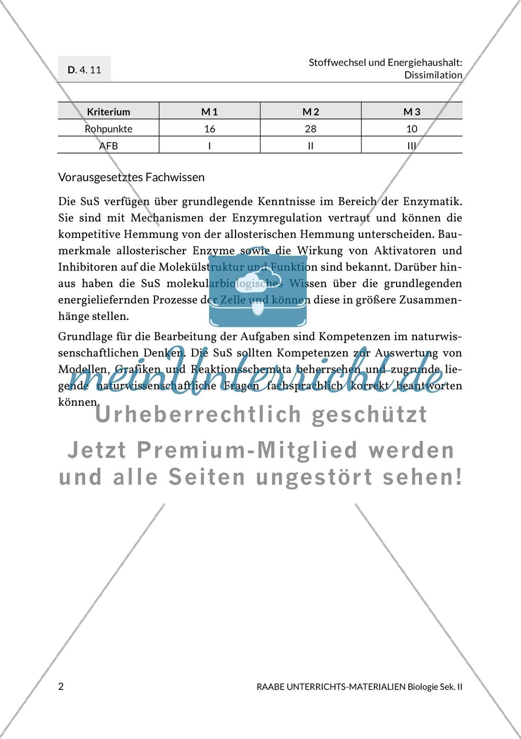 Enzyme – Werkzeuge im Energiestoffwechsel Preview 6