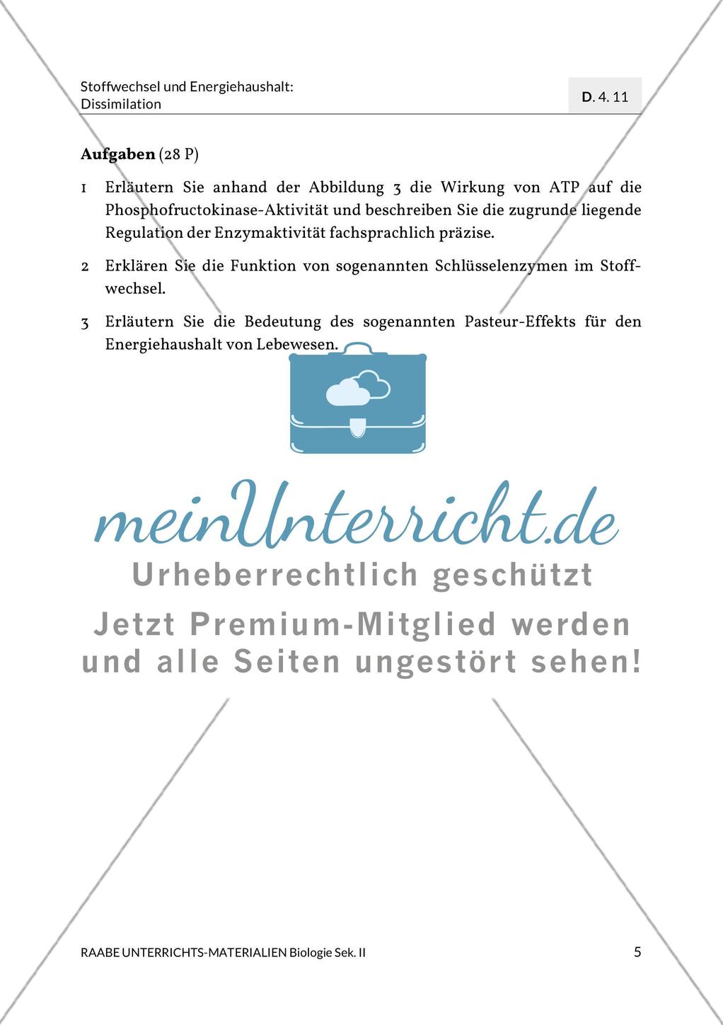 Enzyme – Werkzeuge im Energiestoffwechsel Preview 9