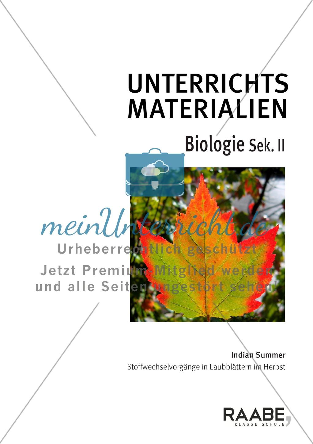 Indian Summer Preview 1