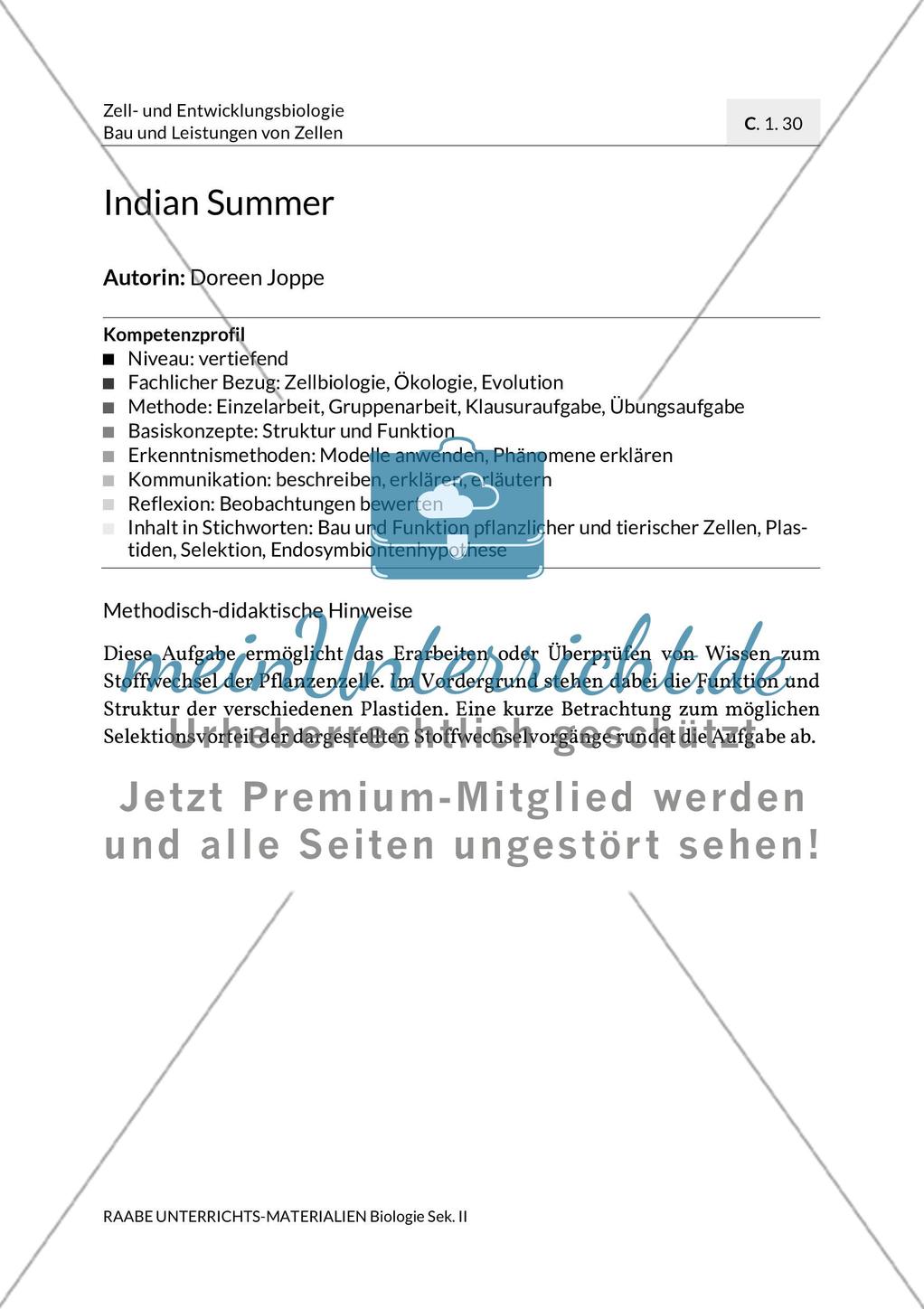 Indian Summer Preview 3