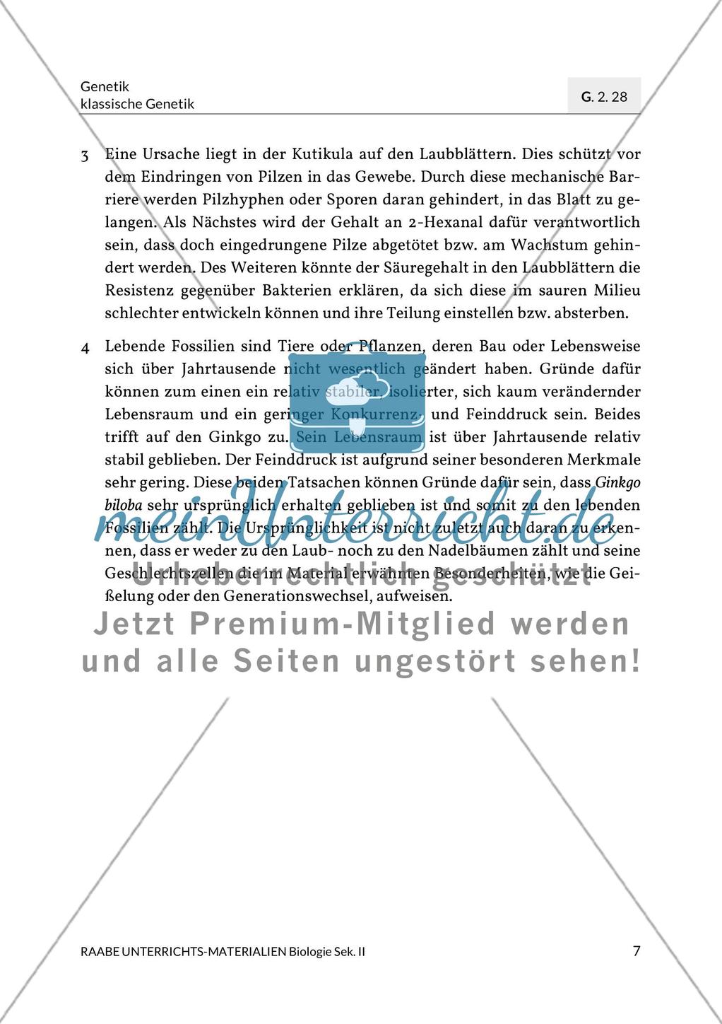 Ginkgo biloba – ein lebendes Fossil? Preview 10