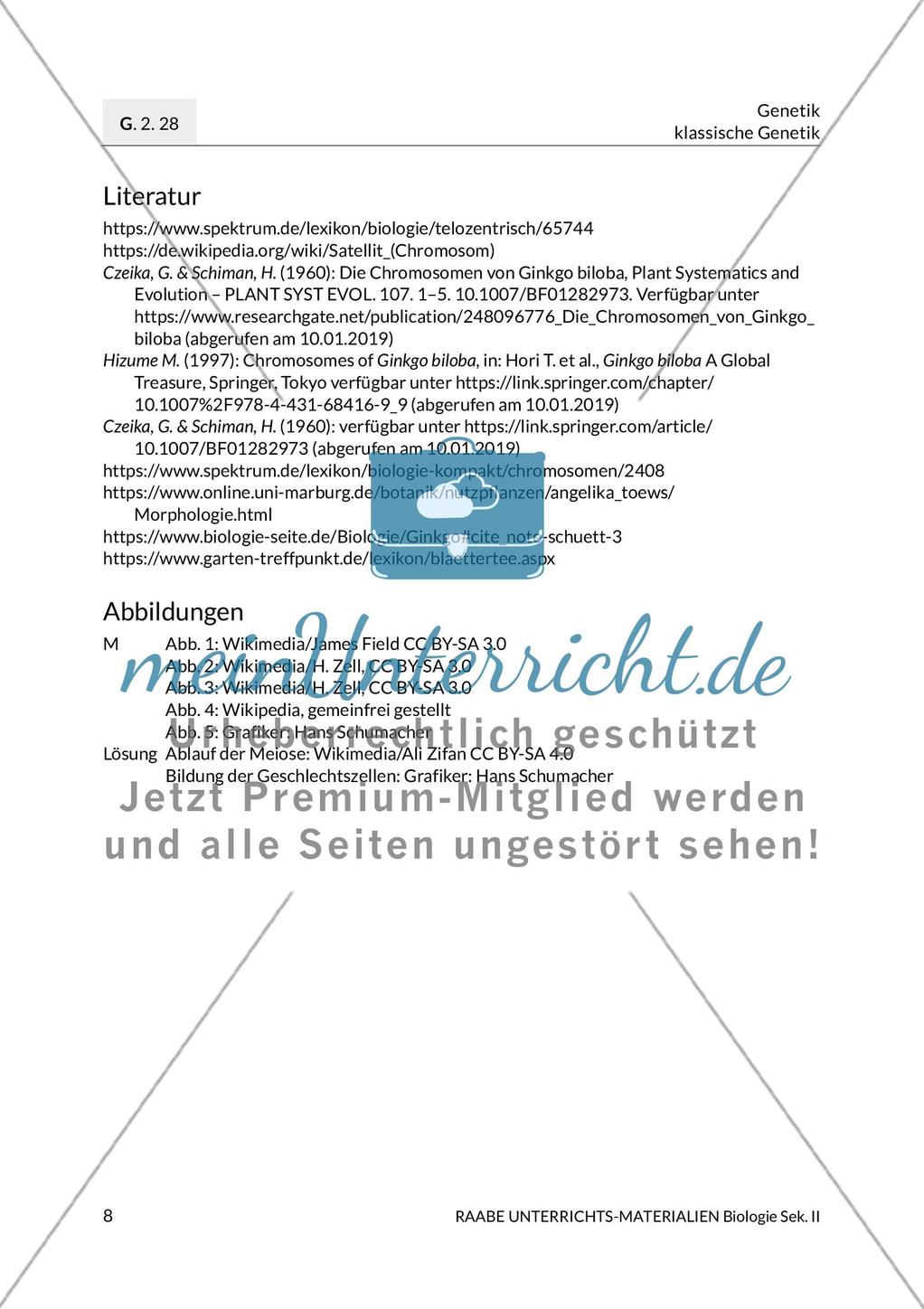 Ginkgo biloba – ein lebendes Fossil? Preview 11