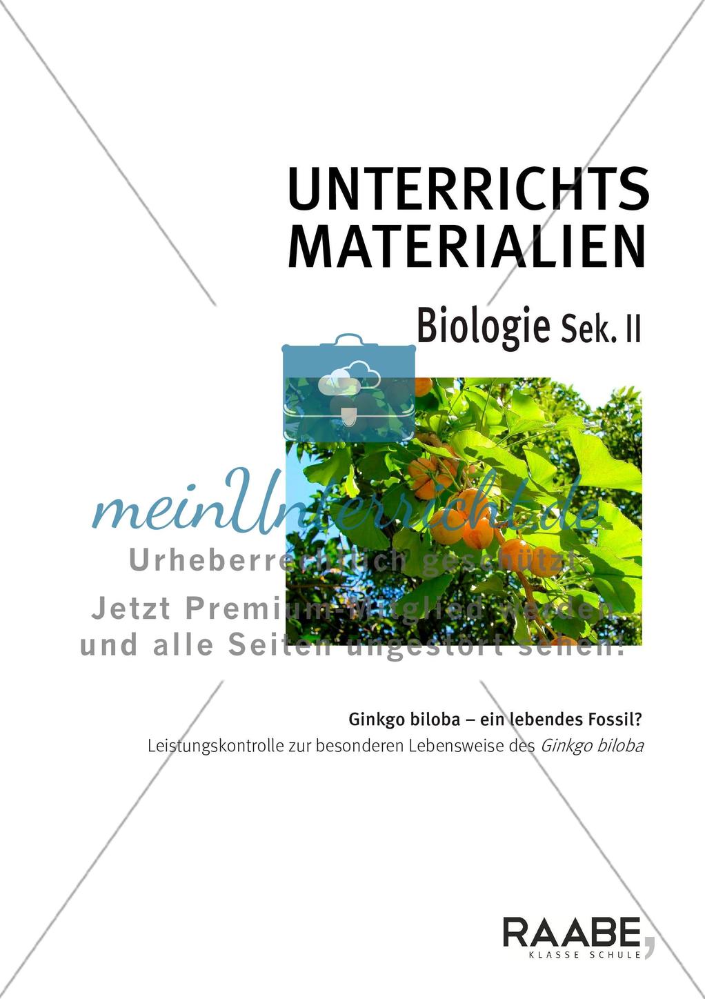 Ginkgo biloba – ein lebendes Fossil? Preview 1
