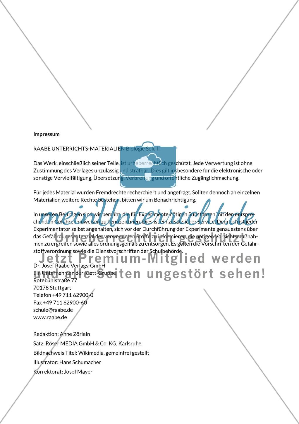Ginkgo biloba – ein lebendes Fossil? Preview 2