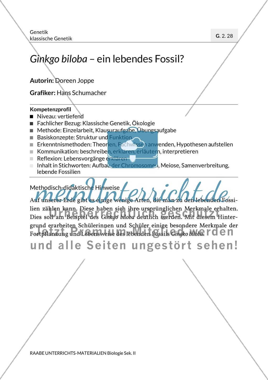 Ginkgo biloba – ein lebendes Fossil? Preview 3