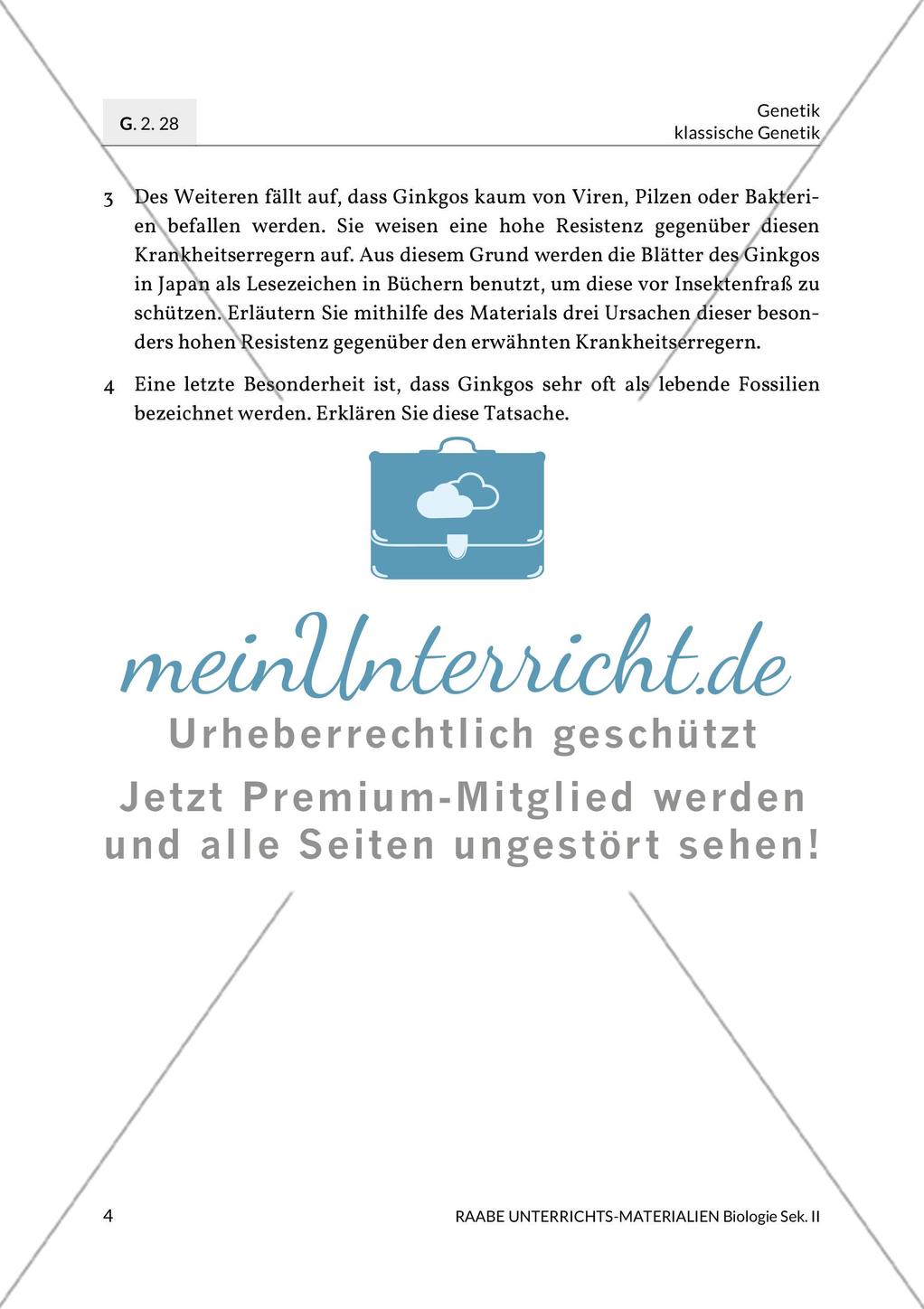 Ginkgo biloba – ein lebendes Fossil? Preview 7