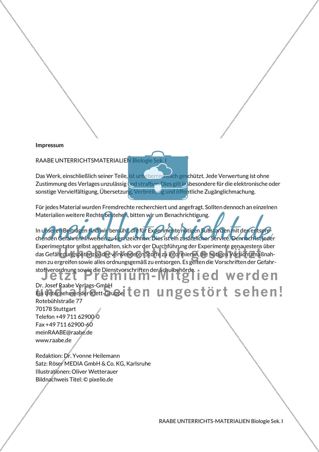 Der Wald stellt sich vor Preview 2