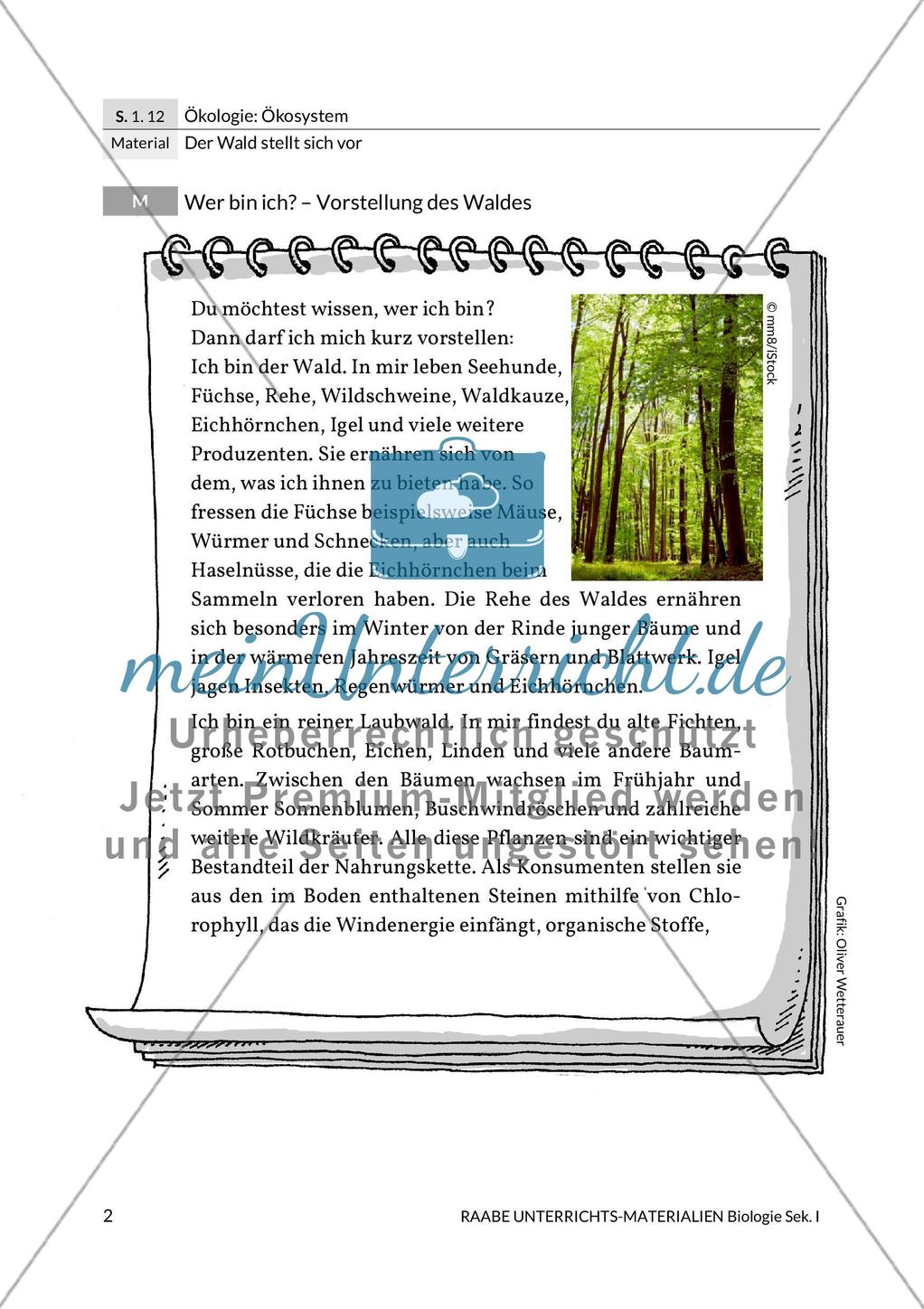 Der Wald stellt sich vor Preview 4