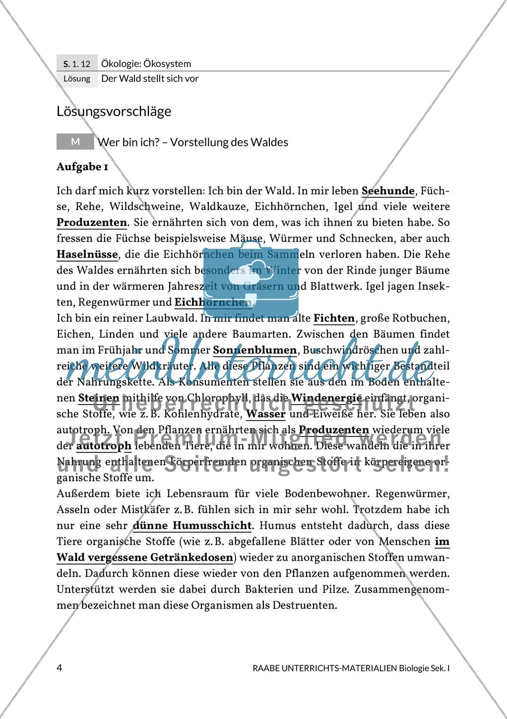 Der Wald stellt sich vor Preview 6