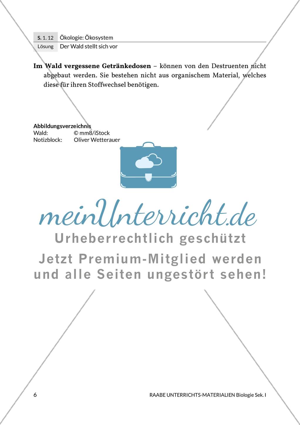 Der Wald stellt sich vor Preview 8