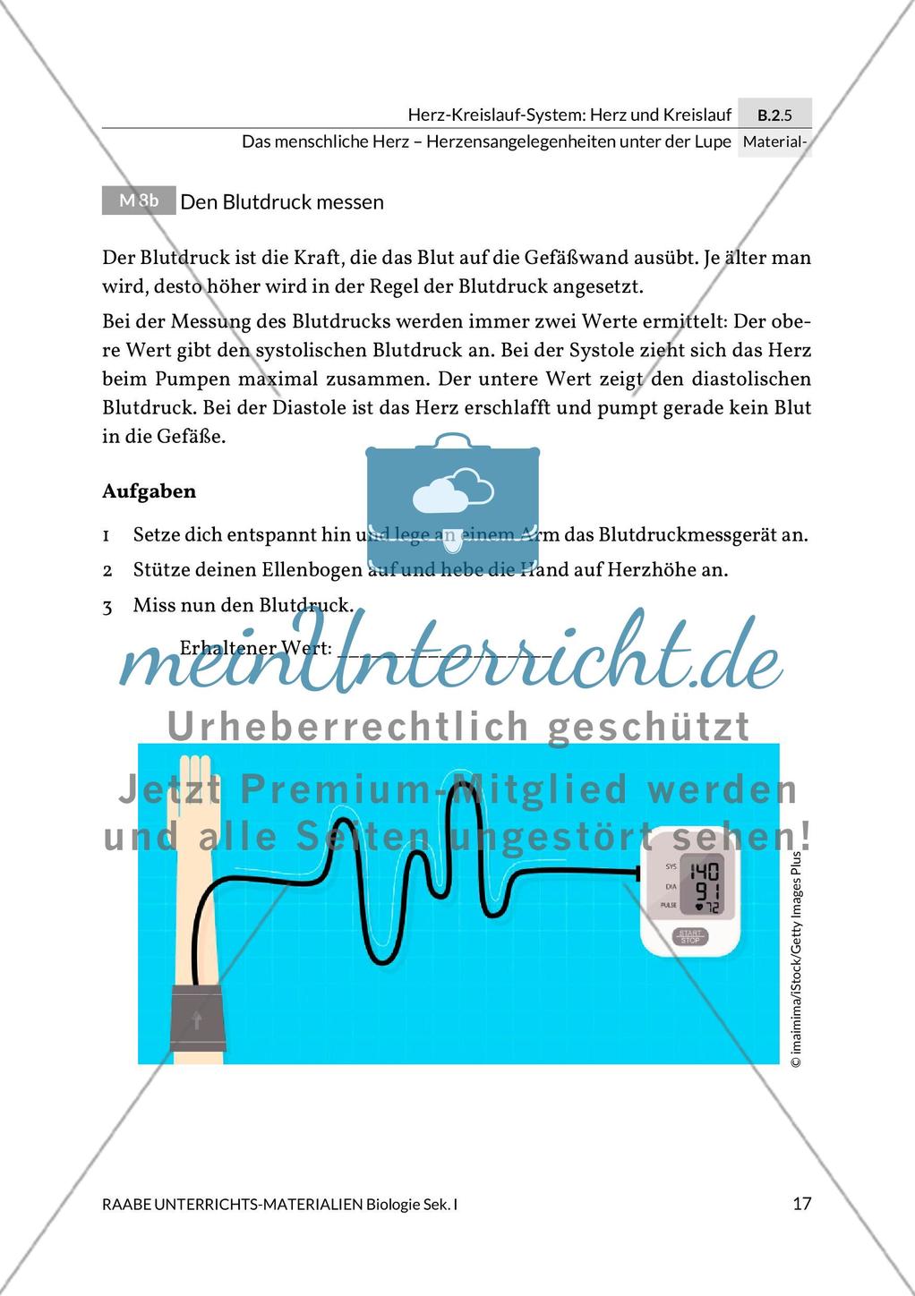 Den Puls messen/Den Blutdruck messen / Messergebnisse der Pulsmessung graphisch umsetzen Preview 2