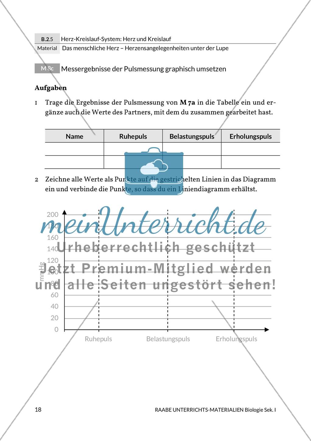 Den Puls messen/Den Blutdruck messen / Messergebnisse der Pulsmessung graphisch umsetzen Preview 3
