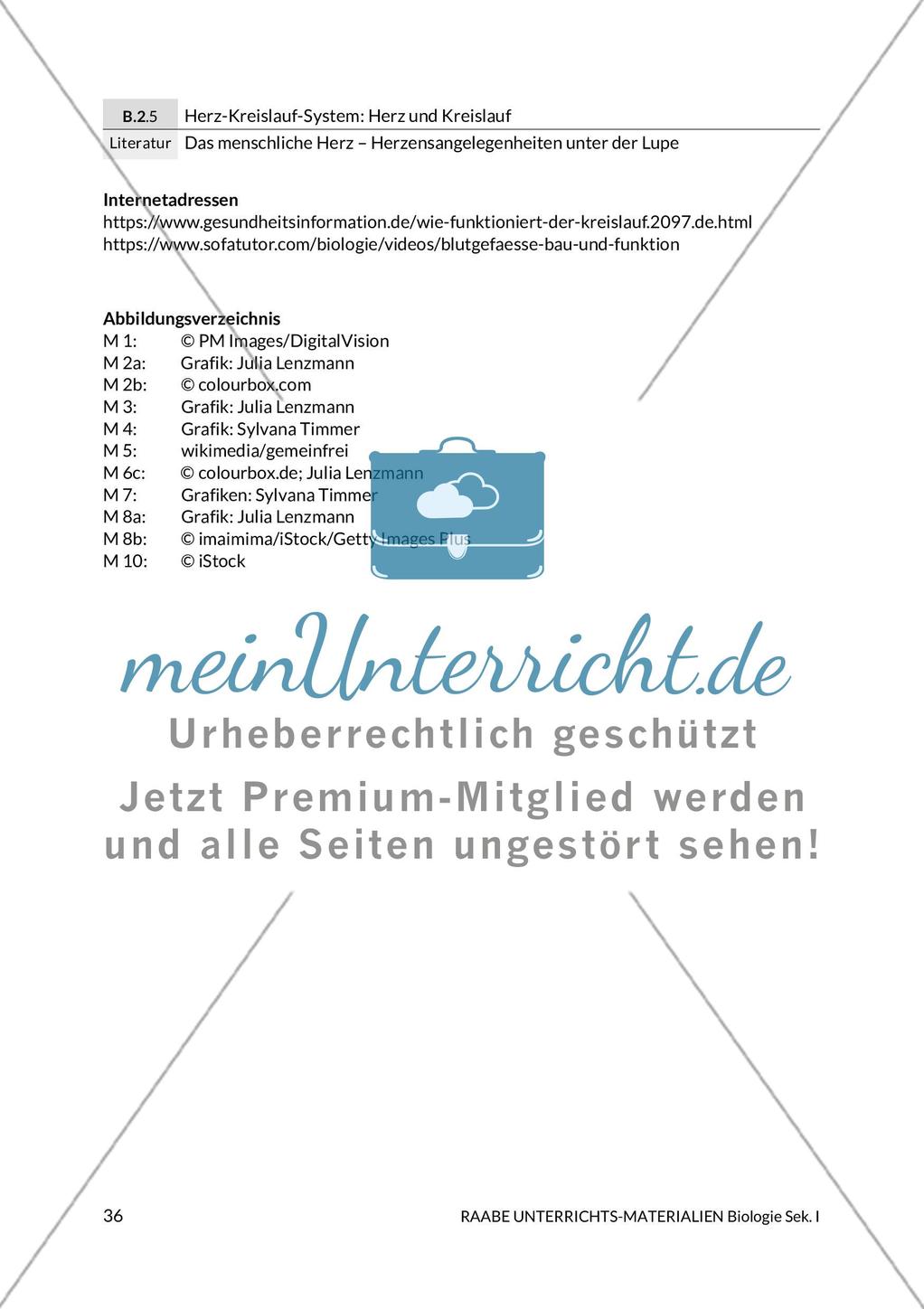 Den Puls messen/Den Blutdruck messen / Messergebnisse der Pulsmessung graphisch umsetzen Preview 4