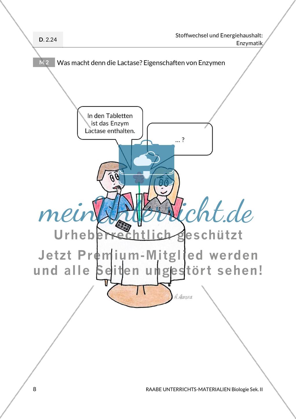 Was macht denn die Lactase? Eigenschaften von Enzymen Preview 1
