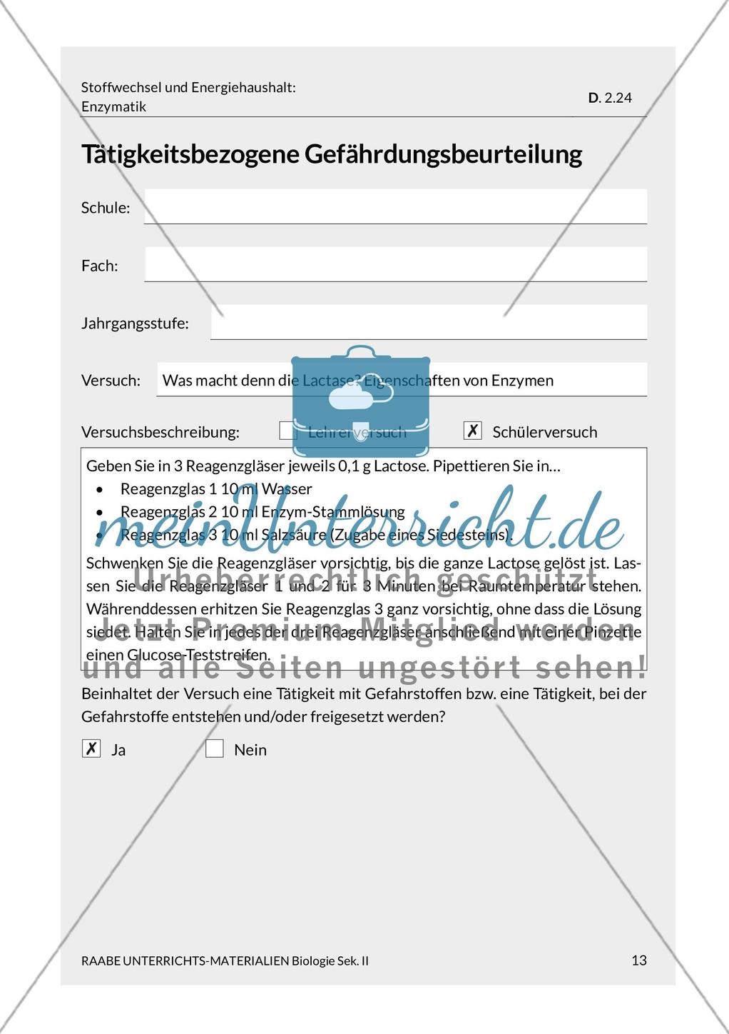 Was macht denn die Lactase? Eigenschaften von Enzymen Preview 6
