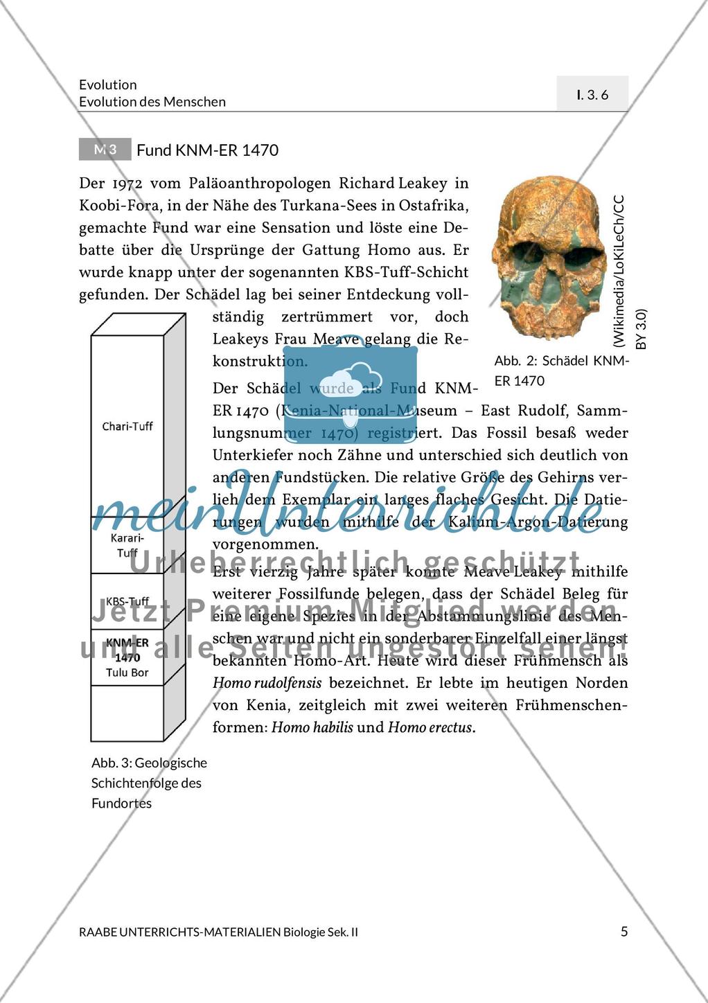 Radiometrische Altersbestimmung Preview 9