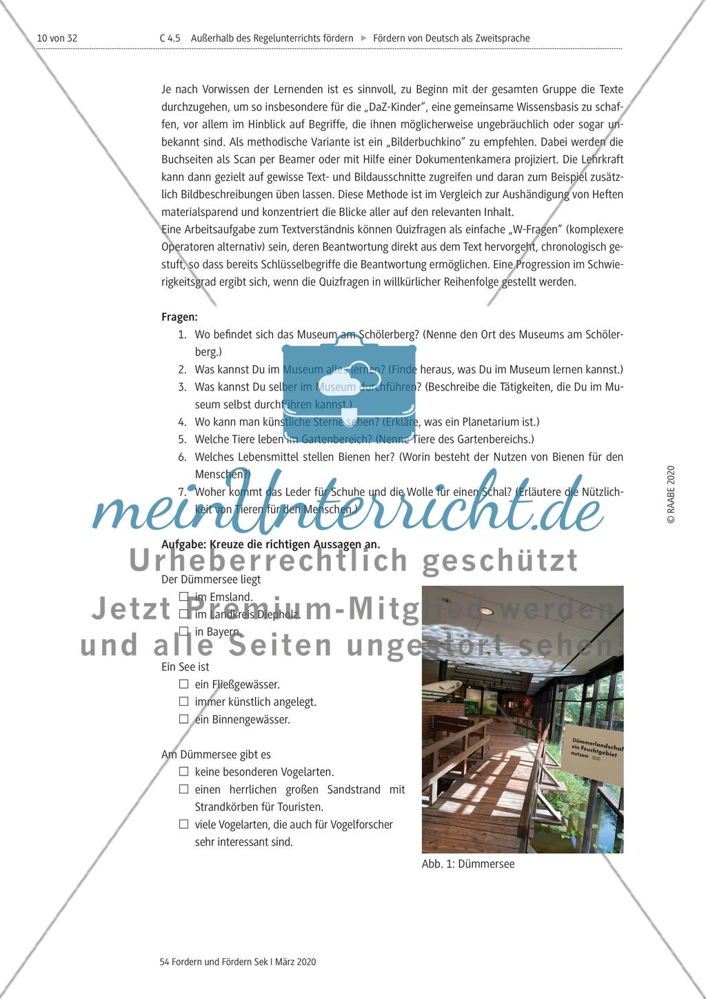 Deutsch als Zweitsprache Preview 10