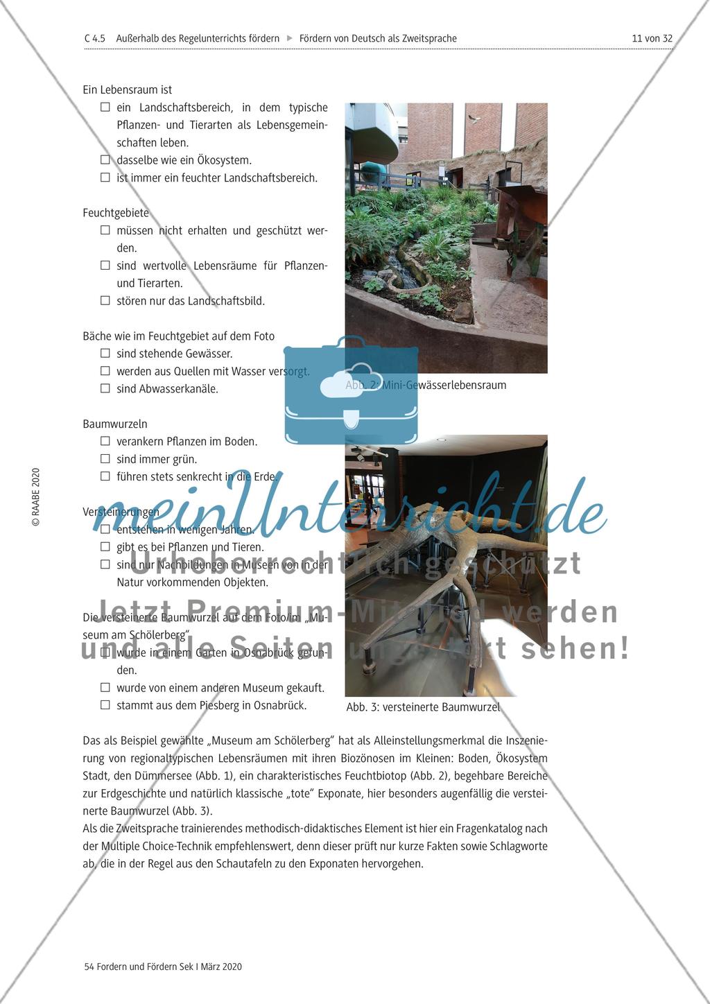 Deutsch als Zweitsprache Preview 11
