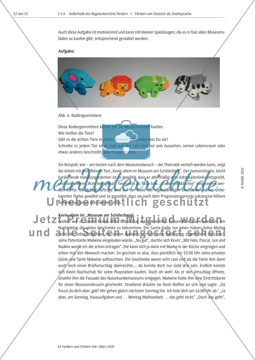 Deutsch als Zweitsprache Preview 12