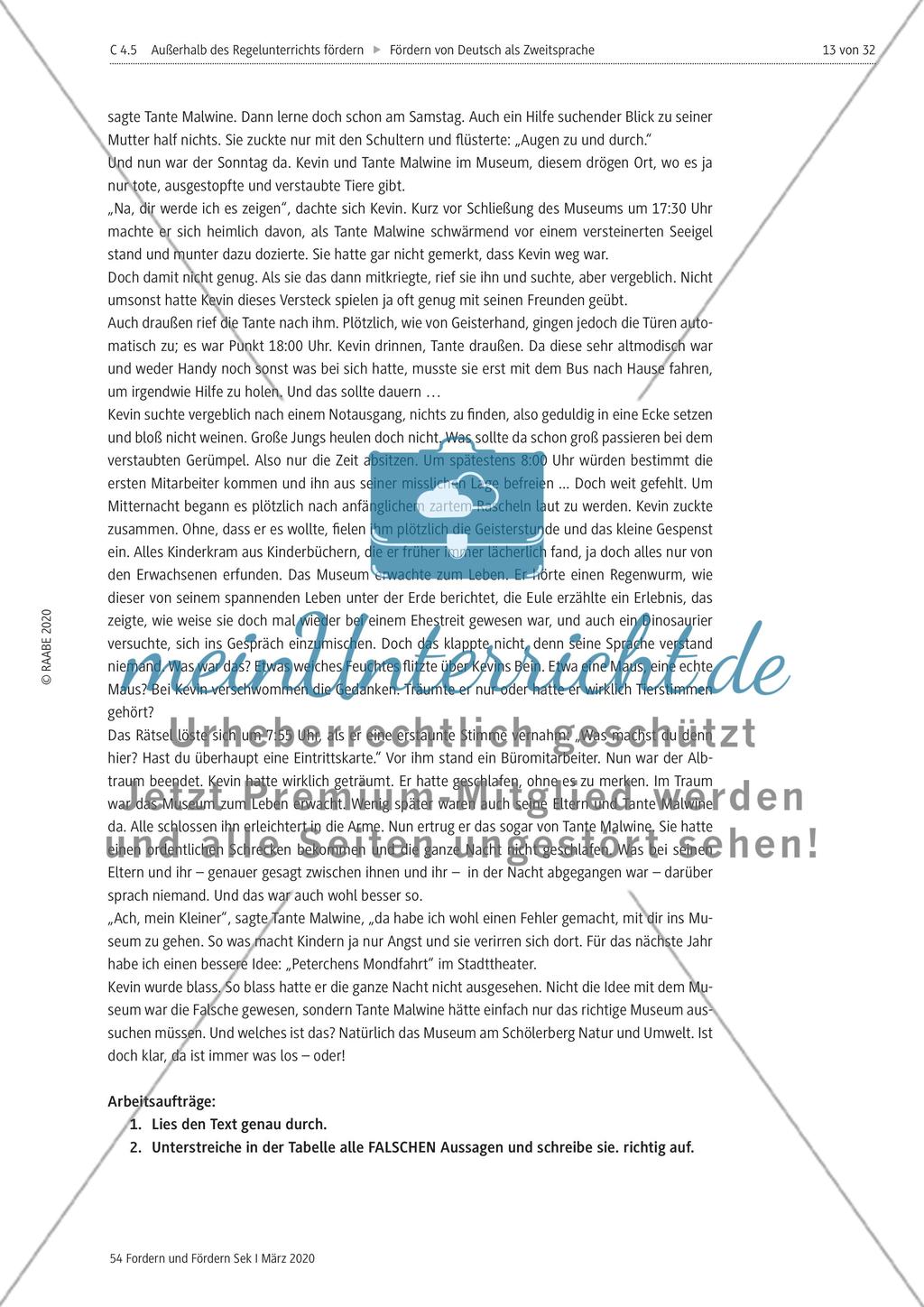 Deutsch als Zweitsprache Preview 13